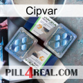 Cipvar viagra5